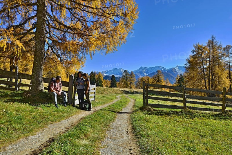 Hikers on the Larchenwiesen meadows