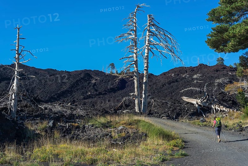 Hiker on the gravel road through the lava field from 2002