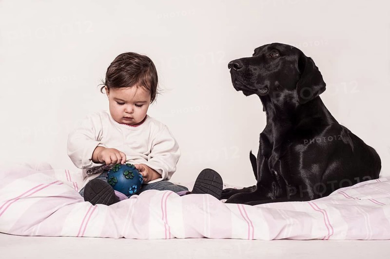 Big black mongrel lying next to a small child