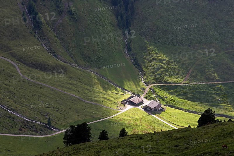 Alp in the last evening light