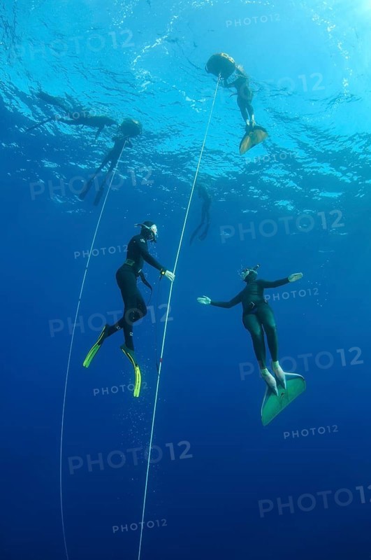 Freedivers