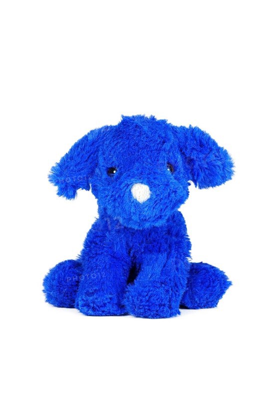 Blue dog