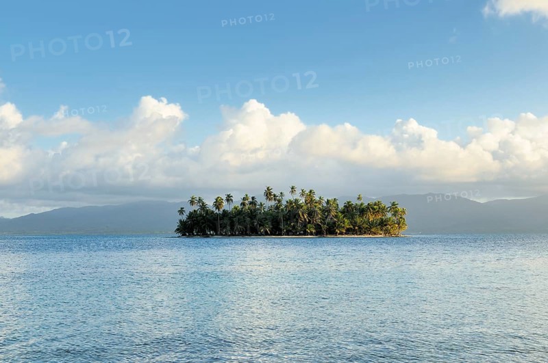 Tropical island with palm trees