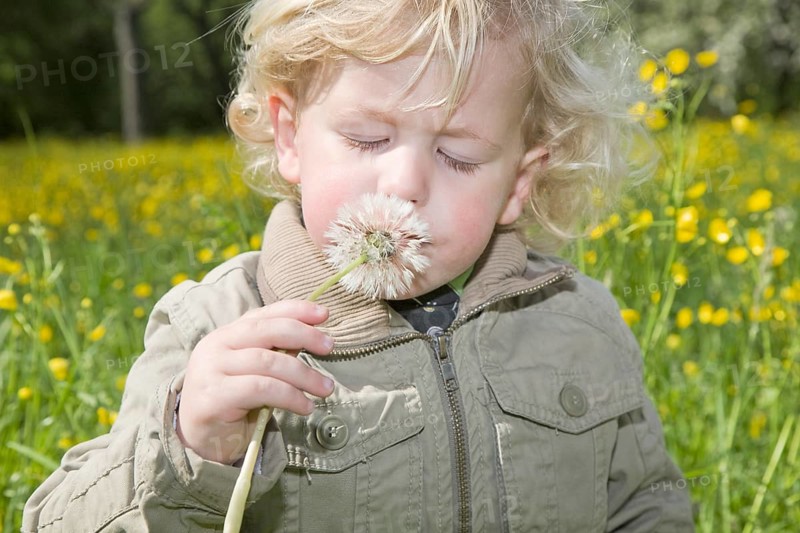 Boy