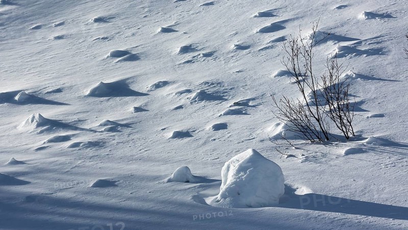 Snowy landscape