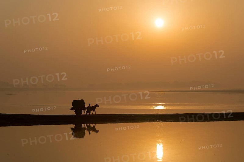A donkey cart crossing the Yamuna river on a dam at sunrise