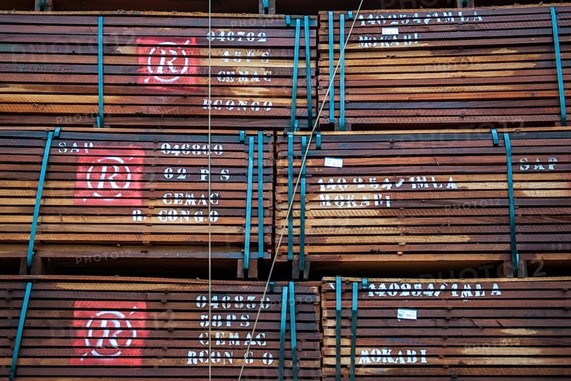 Labeled tropical timber on a truck