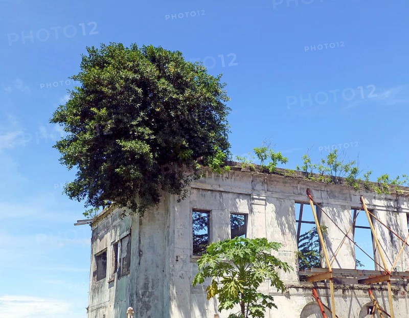 Dilapidated house in the historic centre Casco Viejo