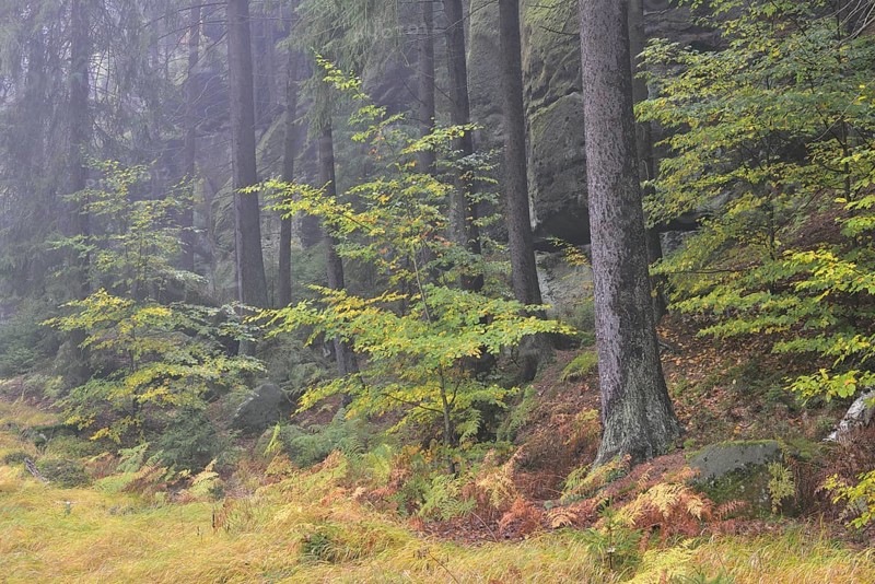 Autumn landscape in Kirnischtal valley