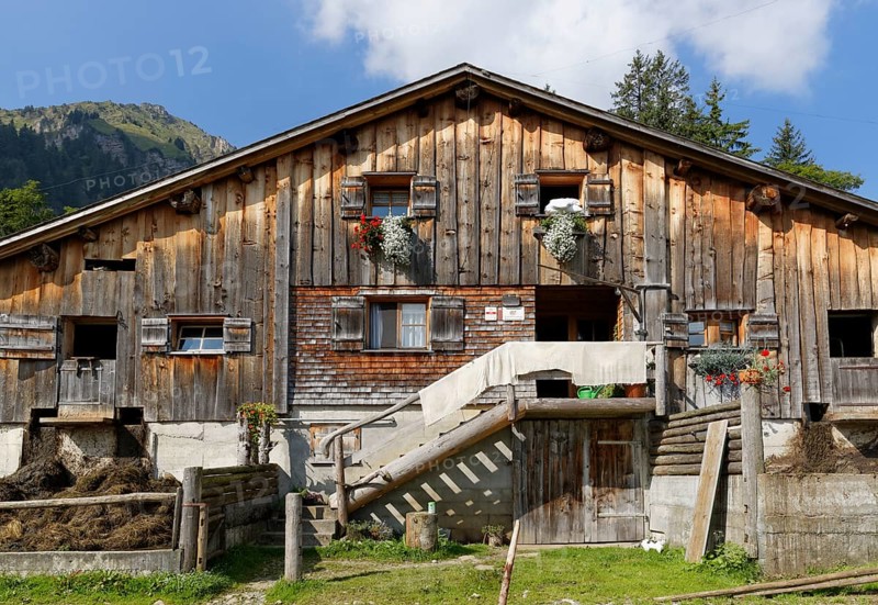 Chalet
