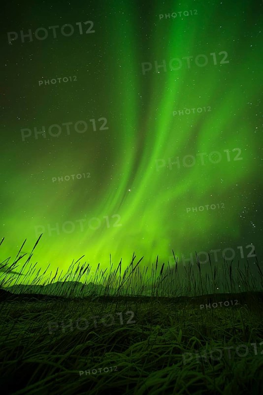 Aurora borealis over College Fjord