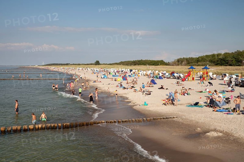 Sandy beach and coast