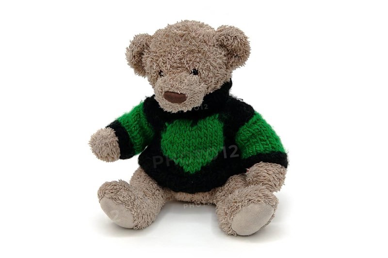 Teddy bear with knitted sweater