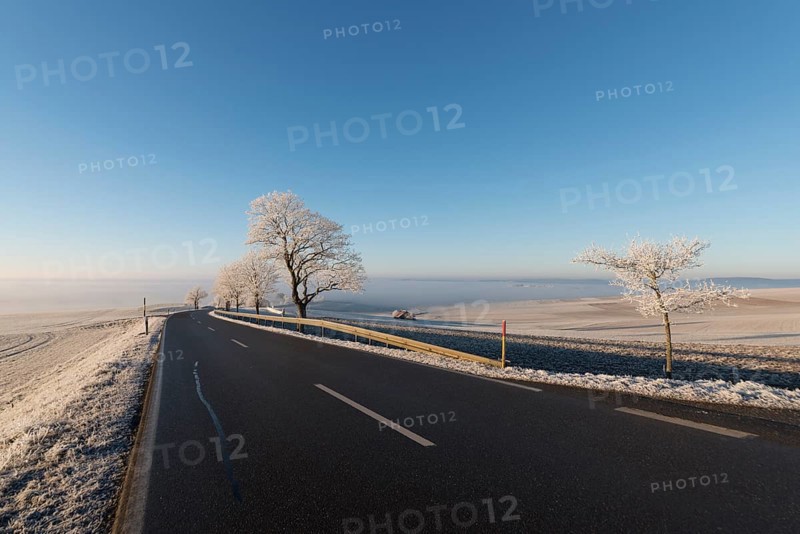 Country road with hoarfrost at Witthoh ridge