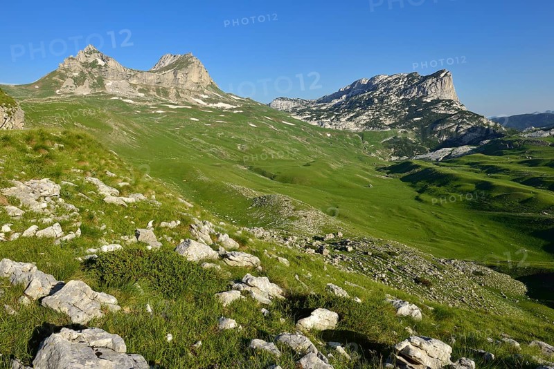 Alpine pasture
