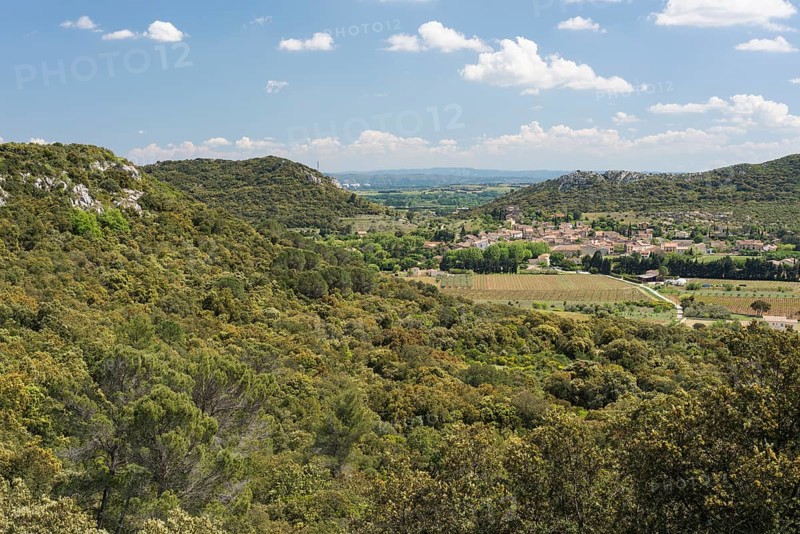 Typical Garrigue or scrubland landscape in southern France