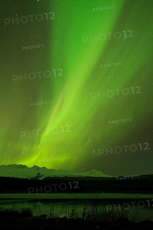 Aurora borealis over College Fjord