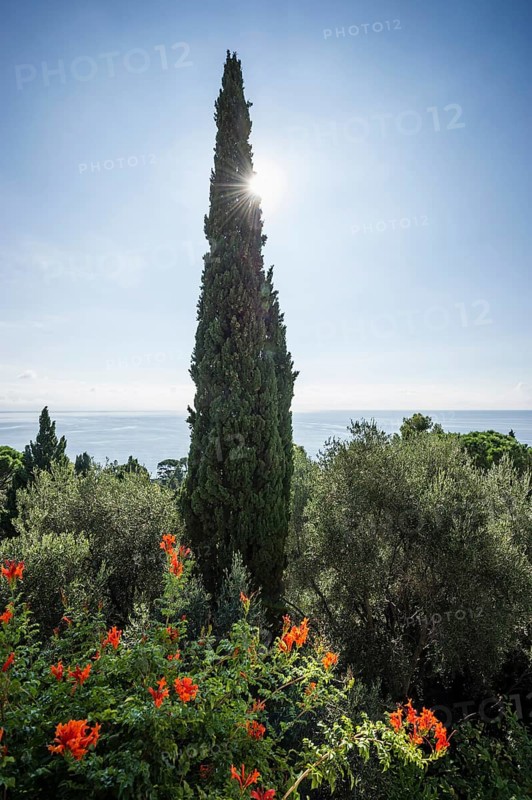 Giardini Botanici Hanbury