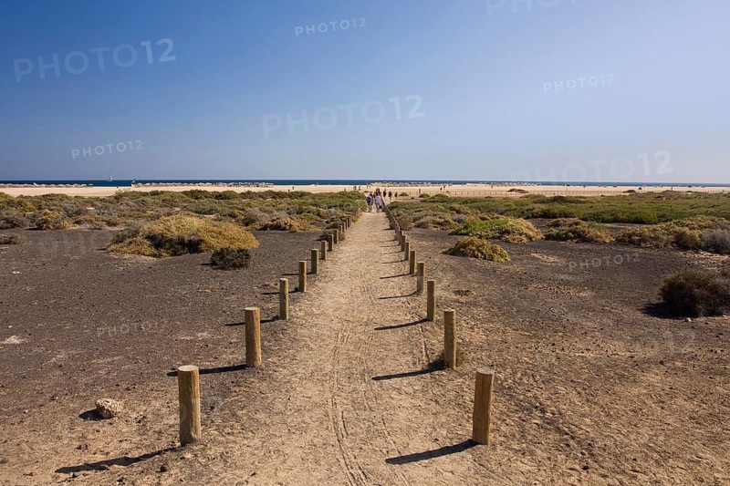 Beach of Jandia Playa