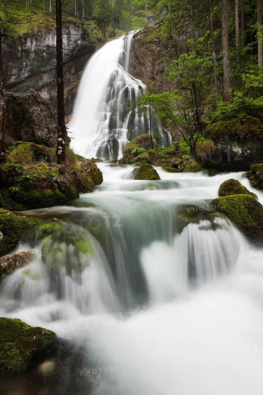 Brook with moss-covered stones