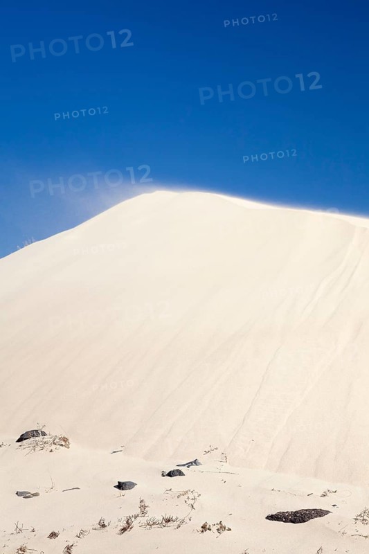 Dune