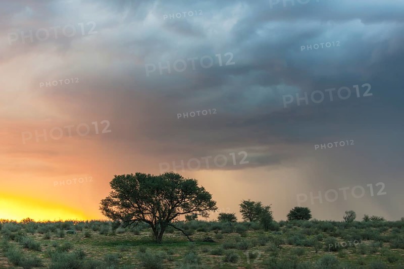 Storm clouds over the dunes in the Auob Valley