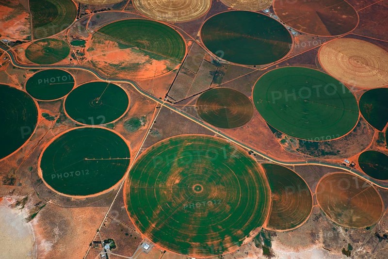 Circular fields on the Orange River
