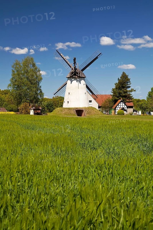 Wegholmer Mill