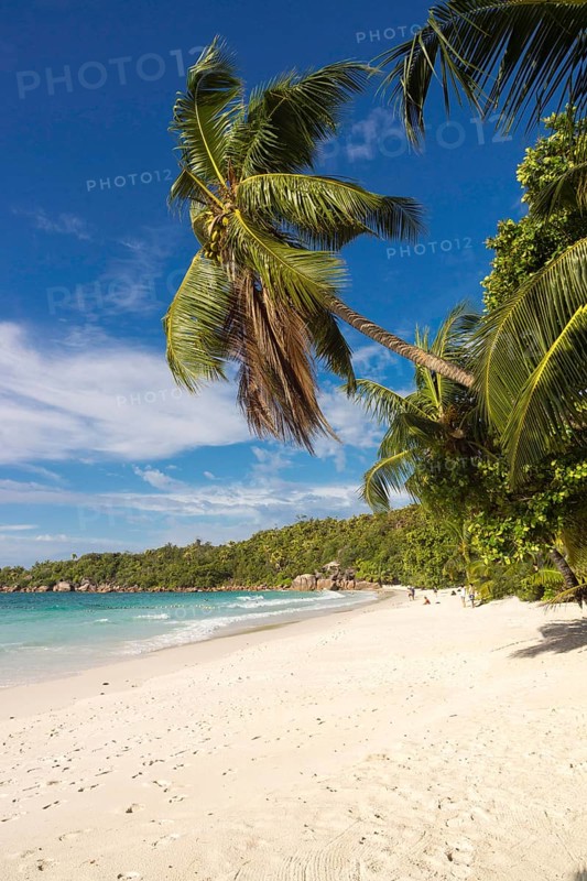 Sandy beach