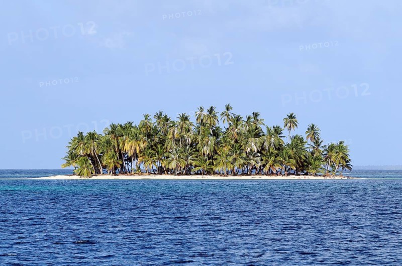 Tropical island with palm trees