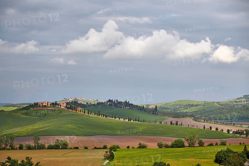 Hilly landscape of the Crete Senesi