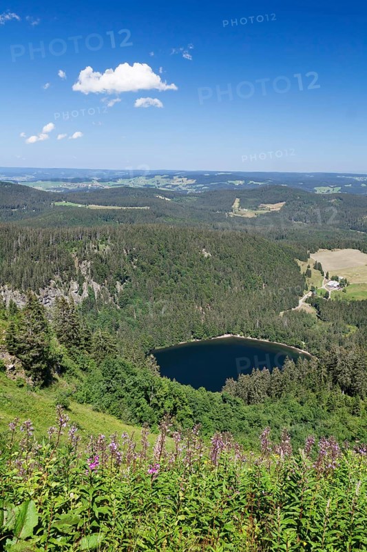 View of lake Feldsee seen from Feldberg mountain