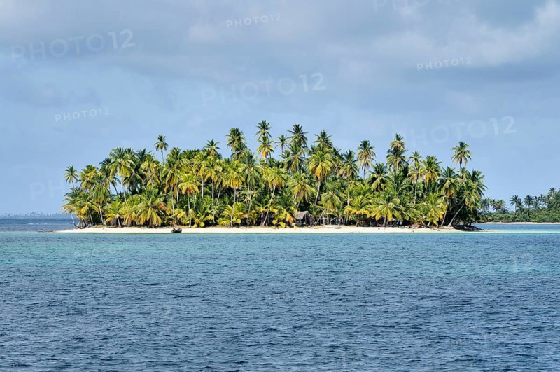 Tropical island with palm trees