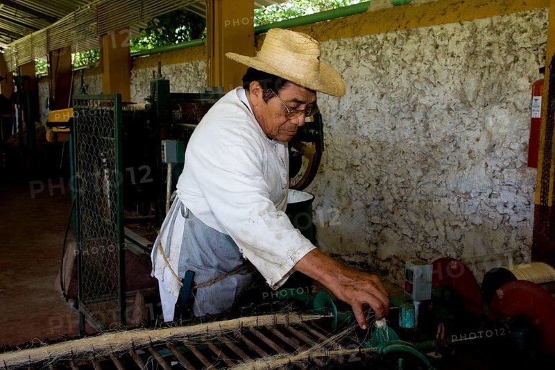 Sisal worker at the Hacienda de Sotuta de Peon