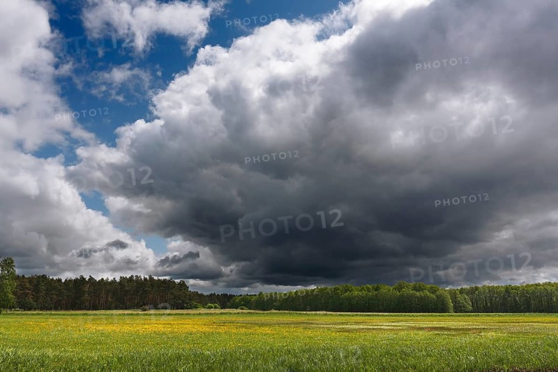 Cloudy sky above the shore meadows at the headwaters of the river Havel