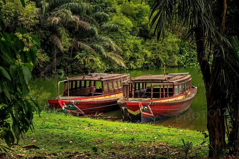 Two traditional boats