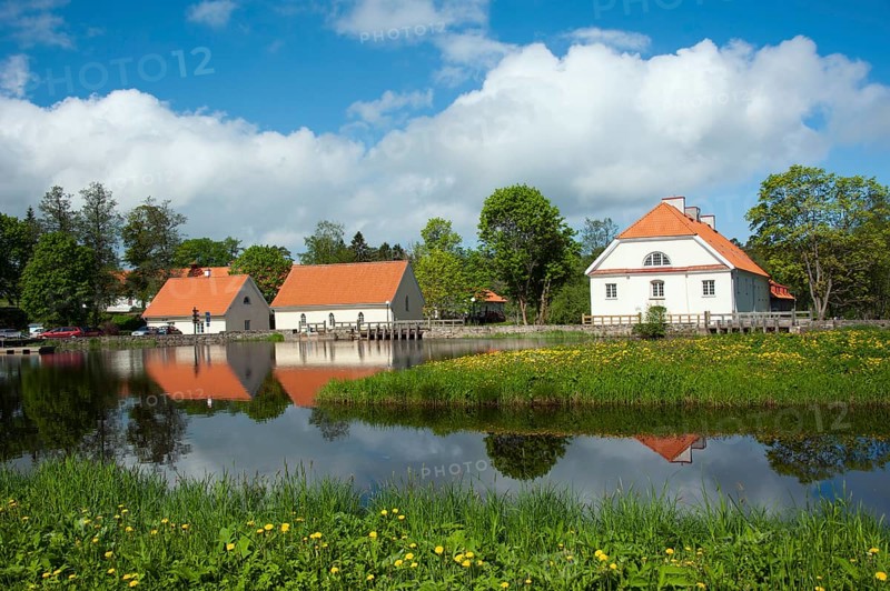 Manor