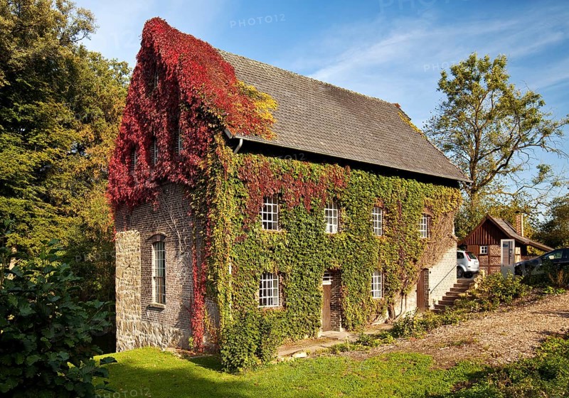 Tushaus Mill