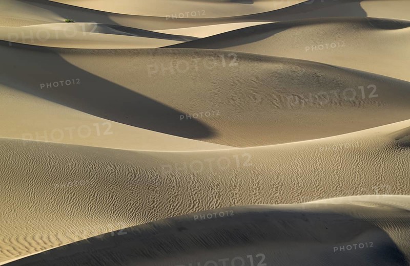 Mesquite Flat Sand Dunes in the evening