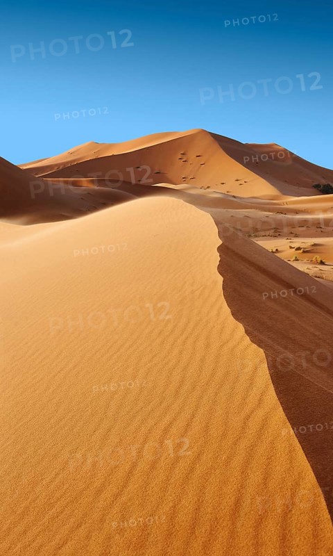 Sahara sand dunes of erg Chebbi