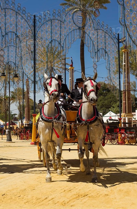 Decorated horses and dressed up coachmen at the Feria del Caballo Horse Fair