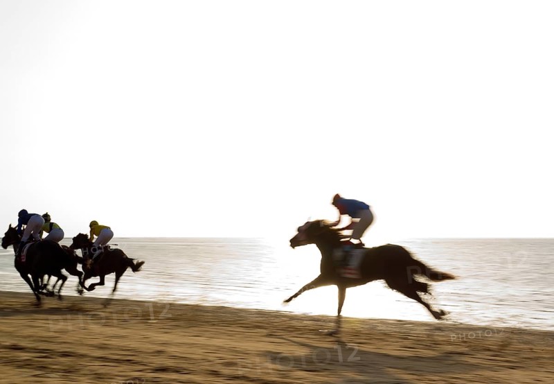 Horse race at the beach of Sanlucar de Barrameda at the Guadalquivir river mouth