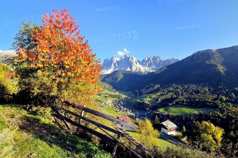 Autumn in Val di Funes valley with the Geisler Peaks in the Dolomites