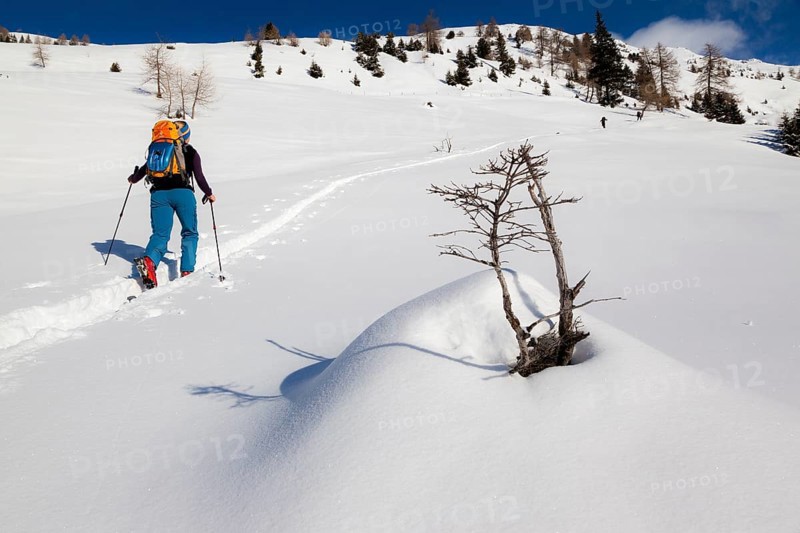 Winter athlete in snowy winter landscape