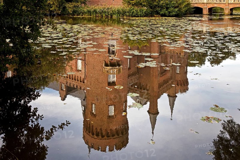 Reflection