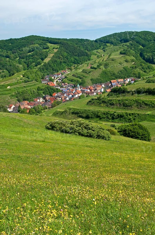 View from Mt Badberg of the village of Schelingen