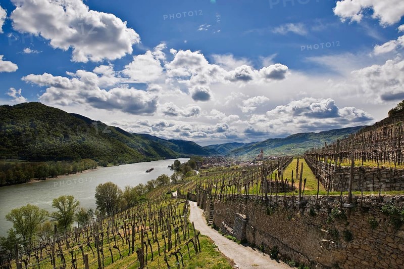 Landscape at Weissenkirchen in der Wachau