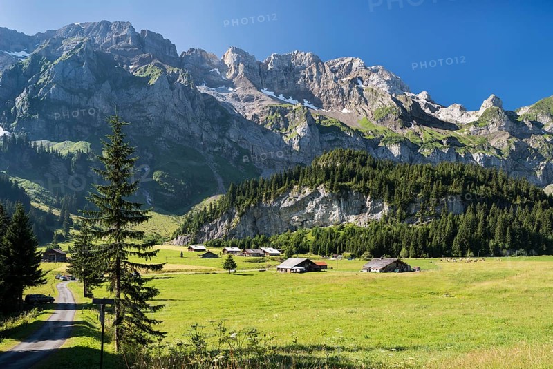 Sunny alpine pasture in Val d'Illiez valley