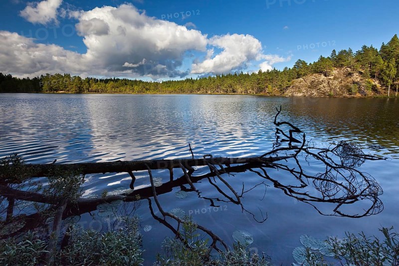 Trollkyrkesjon Lake