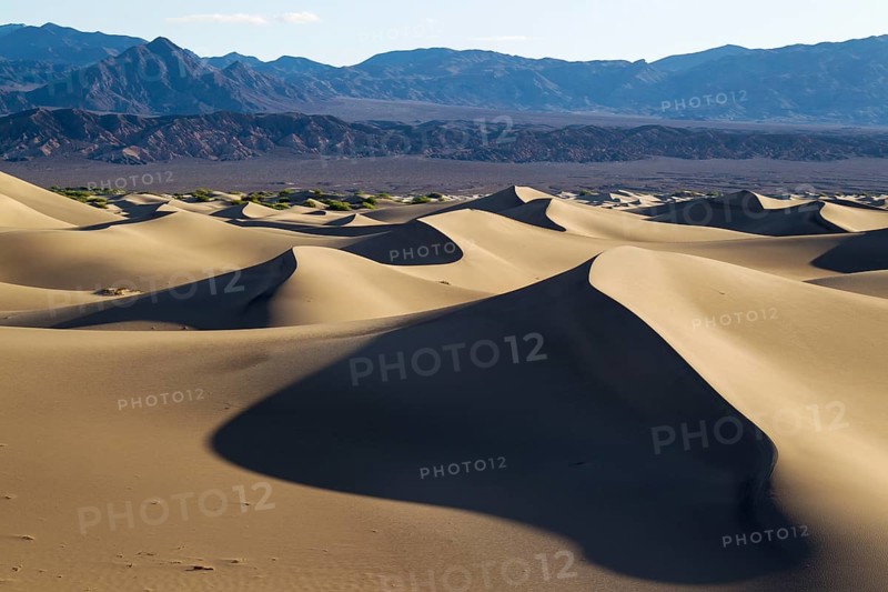 Mesquite Flat Sand Dunes in the early morning